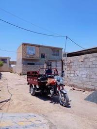 ستوته • فحل • ٢٠٢١