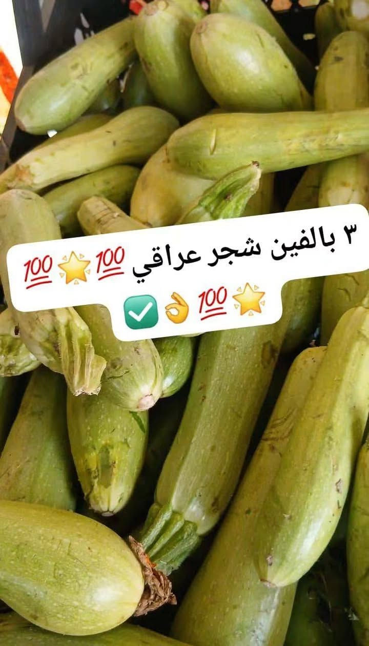 ☎️🌼🍋🍍🍇🥭🍈🥕🍓🍌🍏🍑🍎🌶🍎🥭🍍🍒
#كلةة_امتتيييازز_فواكه_وخضروات_ابو_مصطفى💛
#توصيل_مفتوح_يومياً_ومسواك_جديد_يوميا
#whatsap_comunication..***********..✅️☎️☎️
 #احفظ_الرقم_سيظهر_لك_استوريات_الفواكه_عالواتساب ✅️
#فواكه_وخضروات_ابومصطفى_في #خانقين_امام_عباس
#مجاور_مختبر_سامان_واسواق_خيزان_وصيدلية_ابوحسن_قصابة_جلولاء_ومكتبةعارف
‏
‏🔹 «اختار المعروض بالصور والأسعار الظاهرة امامك وأرسل الطلب عالواتساب أو المسنجر»  على الرقم الاسفل👇

‏
‏                 الواتساب  ***********.☎️
‏                 التليكرام ***********☎️
                 الفايبر ***********☎️
                ماسنجر / فواكه وخضروات ابو مصطفى ✅️
#متابعين_فواكه_وخضروات_ابومصطفى

‏
