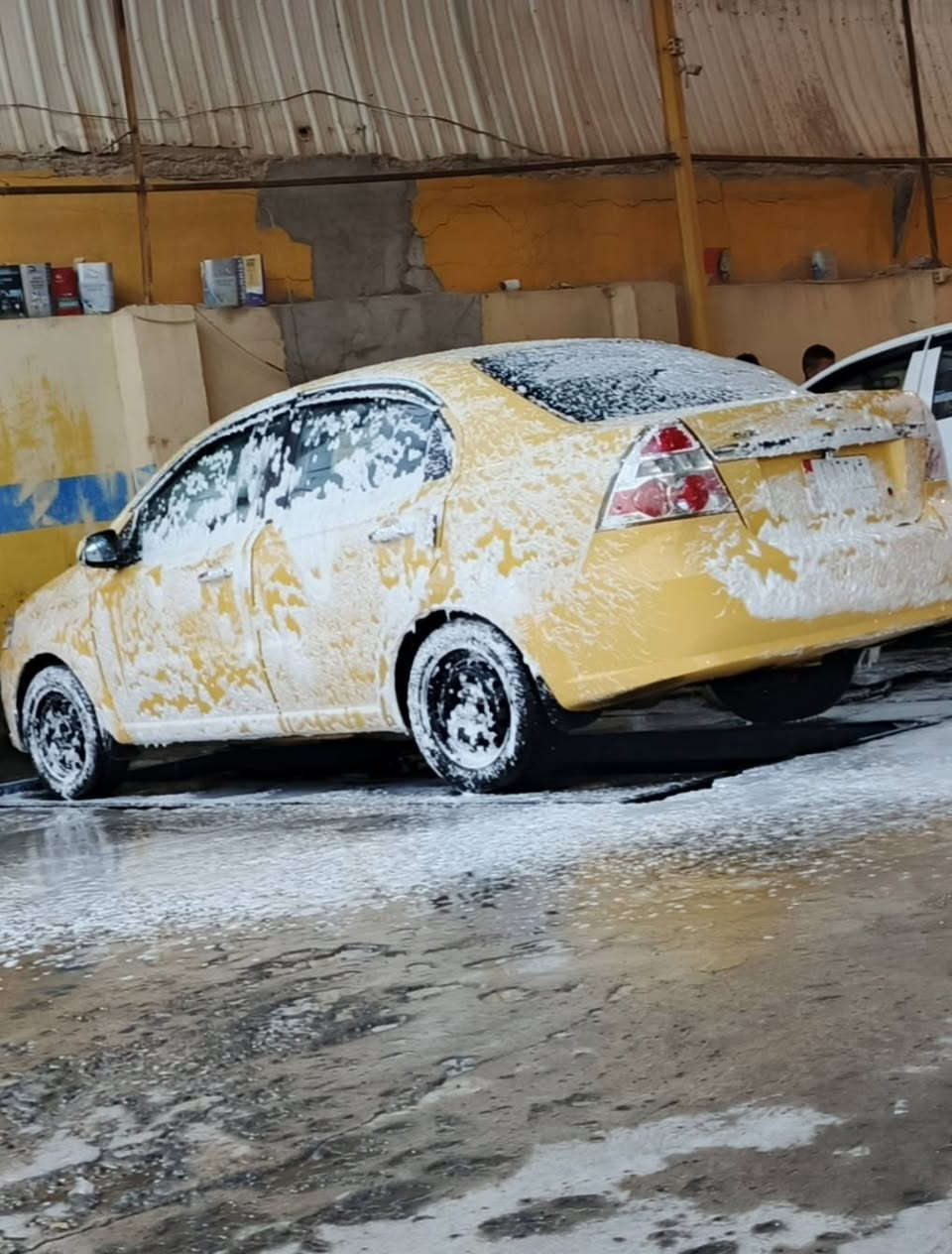 السلام عليكم
افيو 2011 اوتوماتيك مراوس براس الثور كصه قمارة او ربع او ملكة مناسبة مع كل شهر 3 ورقات وكافة الضمانات جاهزة 
مقدمة سيارتي او 50 ورقة الي يعجبك
سيارة متعوب عليها مال جناي
1-بصمة وتشغيل عن بعد وتشغل عن طريق الهاتف برنامج
2-جهاز انذار هورن واشارة
3-لايت زنون ثلجي اصلي
4-شاشه ايباد9 انج مع كامرة دوارة
5-غرفة ودوشمة جديدة
6منظومة سنتر اربعه بيبان وجنطة
7-داش كام اماي وخلفي
منظومة تبريد وتدفئة جديدة
راديتر ماء جديدة وماء زيتي شرط شهر ماتنزل ستكان
باتري جديد مع تخم تاير
بأسمي سنوي لل 2027 
عنواني نجف حي القادسية ***********
السعر 55 ورقة
