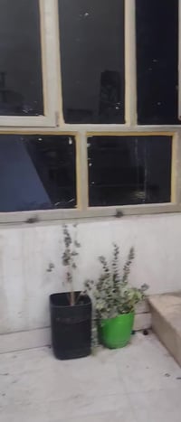 من رخصت صاحب الكروب شقه طابق ثاني للايجار غرفه وصاله ومطبخ وخدمات سعر ...