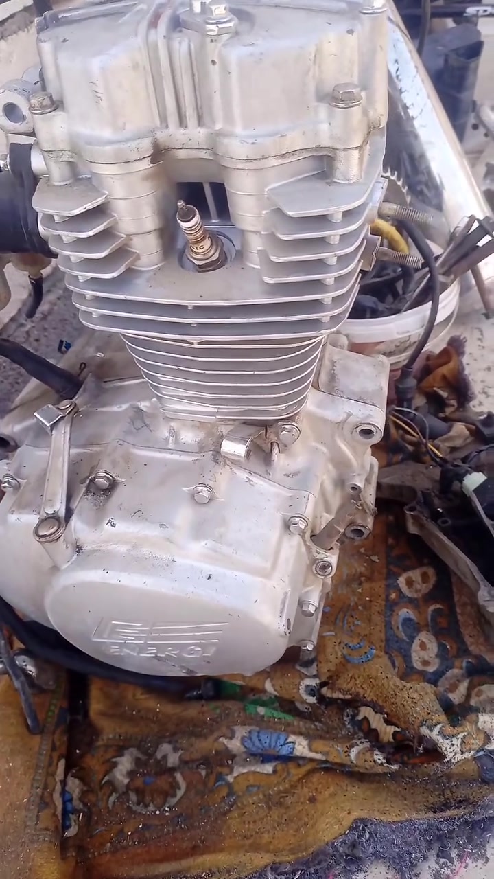وجبه غراض للبيع كل قطعه وسعره خاص مفتوح *********** وتساب
