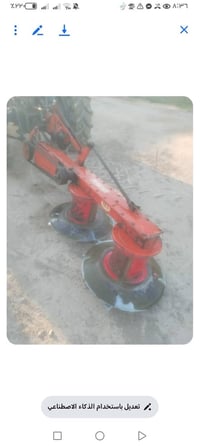 حاشوشه تركي للبيع 07800709006 07502837847 العنوان الرضوانيه