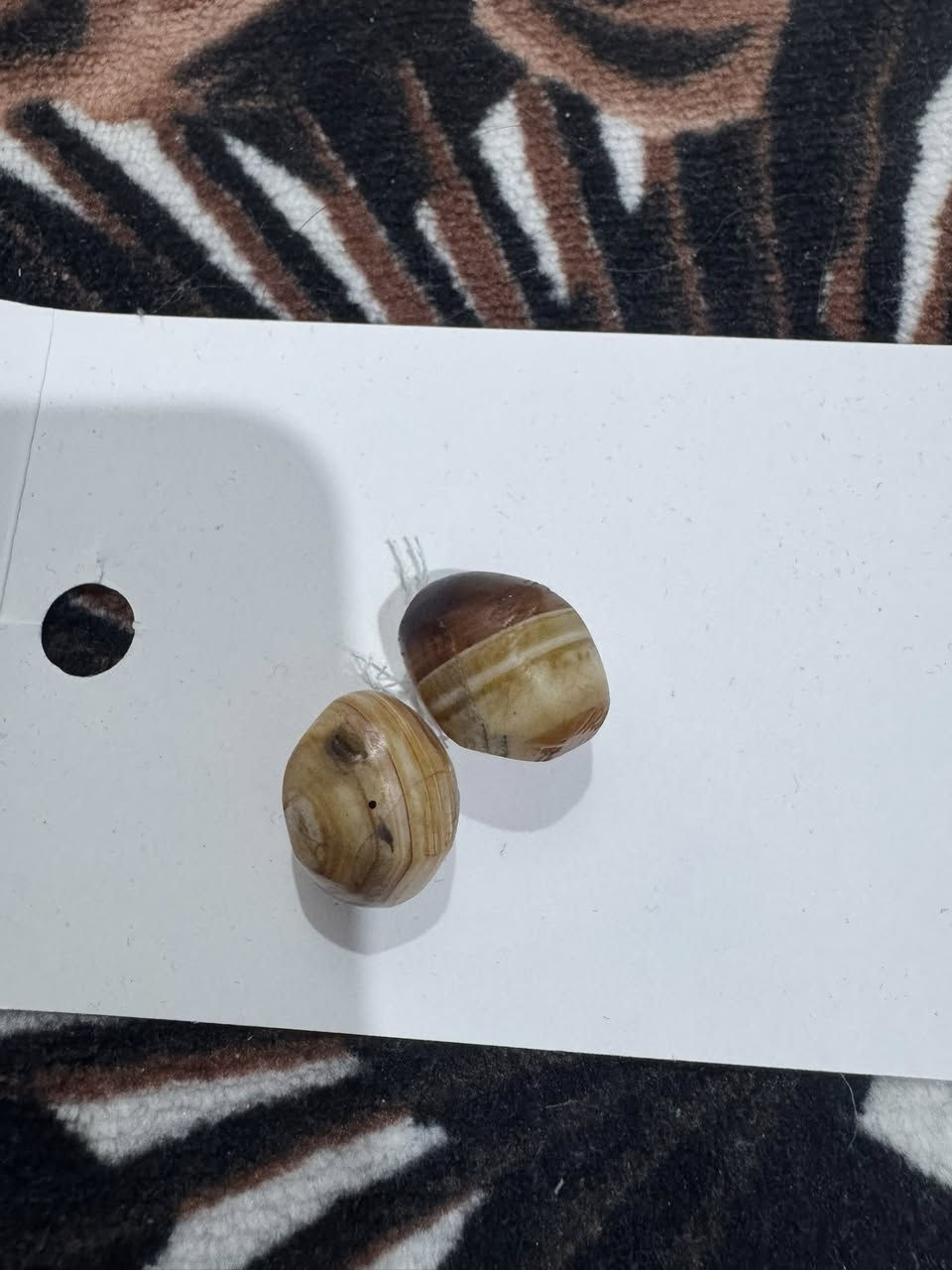 قديم


**إذا كنت صاحب هذا الإعلان وتريد حذفه لأي سبب، رجاءا أرسل رسالة إلى الدعم الفني**