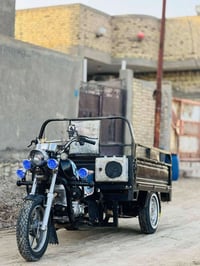 ستوته • مديل 23 • كفالة عام