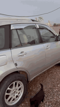 سلام عليكم من رخصة الادمن
شيري T11 تيگو 2011 
گير اوتوماتيك 4 سلندر
فتحة سقف شاشة كامرة 
للبيع مكان بغداد وسيارة باسمي تحويل ثاني يوم سعر (53)
للاستفسار تفضل خاص او اتصل على رقم ***********
