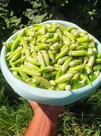 حوي بانيه جديد كل يوم بيوم الكيلو به 2000 الحجز   خاص واكو توصيل لاباب...