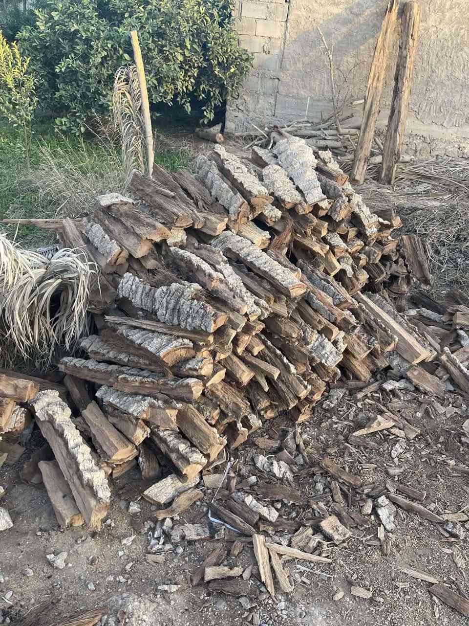بسم الله الرحمن الرحيم 
يوجد لدينا حطب جذع النخل يابس مفصل للبيع واصل للبيت عل  الطرطوره السعر خاص٠ماسنجر  *********** ربي يرزق الجميع
