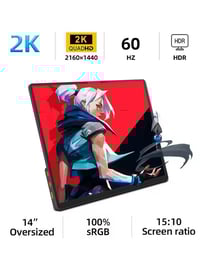 ZSUS 14A-2K • شاشة محمولة • Type-C Mini-HDMI