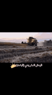 دراسه للبيع
حاصوده نيهولند 2006 خمسه بلم هيدروا طبله 17 جاهزه مجهزه مال جناي السعر وباقي التفاصيل الاتصال على الرقم
***********
