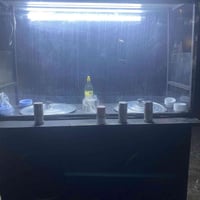 عربانة باقلاء ولبلبي • ملحقات كاملة • كركوك