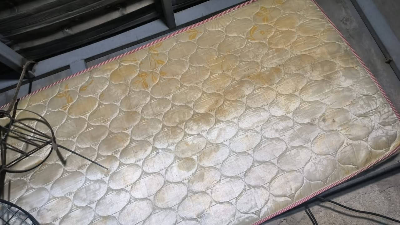 سلام عليكم
دواشك جرباية نفر للبيع


**إذا كنت صاحب هذا الإعلان وتريد حذفه لأي سبب، رجاءا أرسل رسالة إلى الدعم الفني**