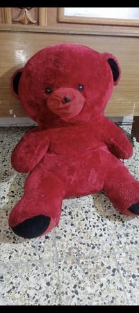 حجم كبير • حيانيه البصرة