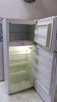 شونك • بخاخ • فول تجميد