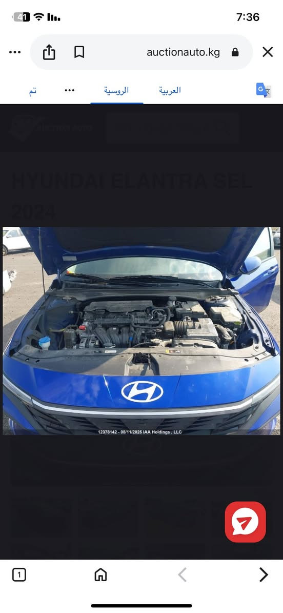 سلام عليكم النترة 2024 وارد كندي داخلة نسبت مياه وهاي الطخة گدامك ما مصلحة السيارة بدون ايرباك  السيارة جديدة بمعنى الكلمة ما شاءالله ماشية 17 الف  مكاني بغداد ***********
