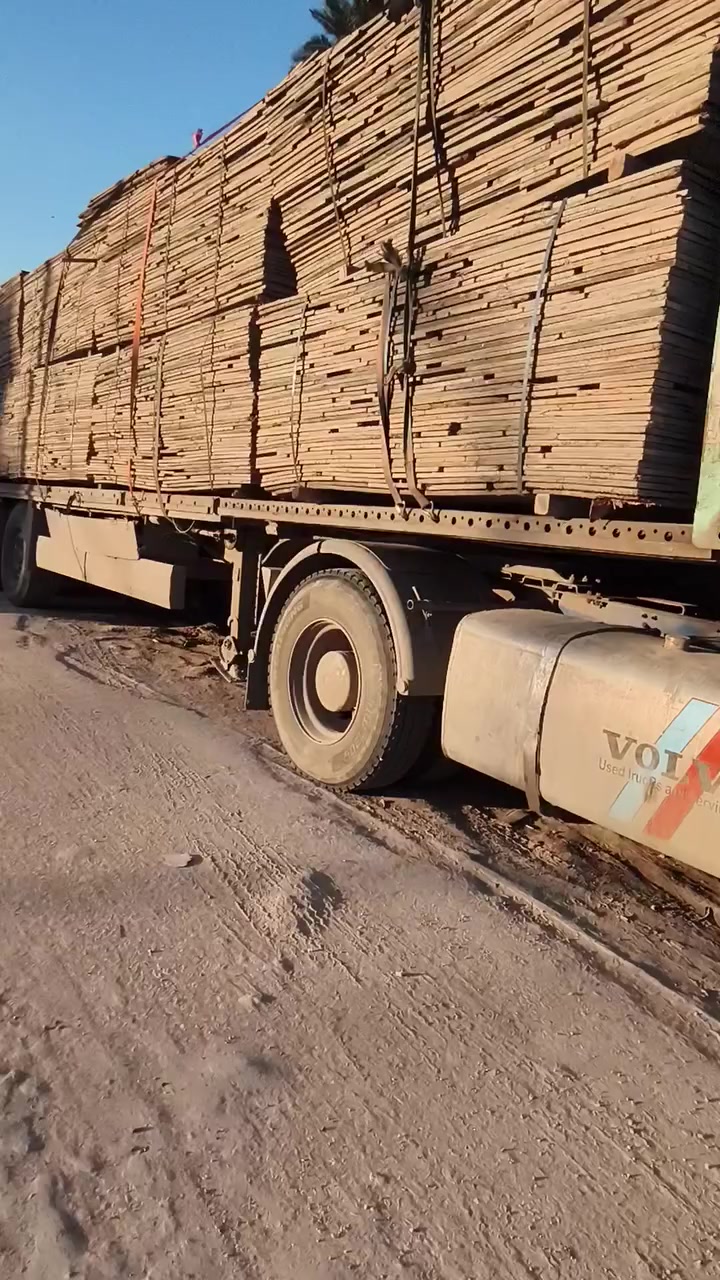 مقطع للبيع روسي الطول ٢٥٠*125الكميه مفتوحه العنوان بابل ***********
