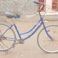 باسكل • نفخ تايرات • زنجيل