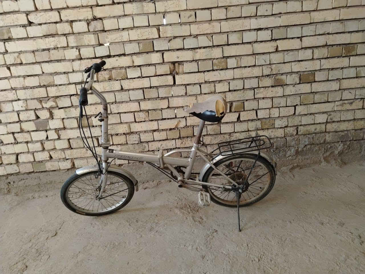 السلام عليكم اخوان باسكل طباكي جبلي للبيع بسعر 80 الف وبي مجال اتصل على هذا الرقم *********** اذا شراي
