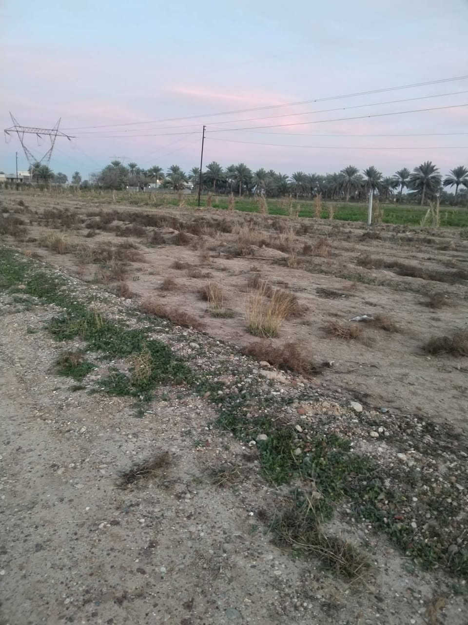 سلام عليكم
قطعه أرض 200متر منطقه التاجي خلف الذراع منطقه جرف الملح صلاح
 زراعي قرار  117 بسم  المالك هاذه رقم الهاتف
*********** السعر خاص
