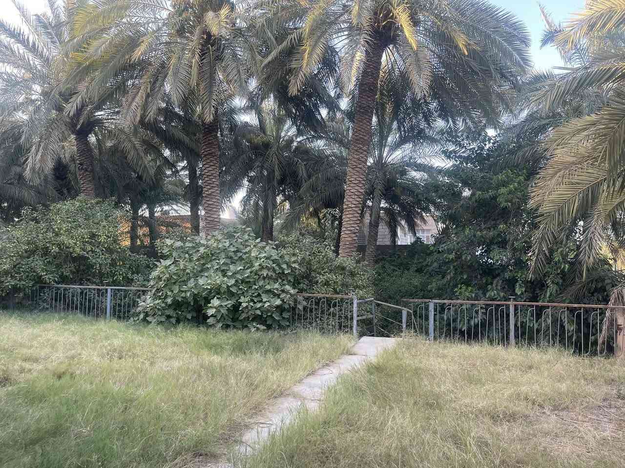 � فرصة استثمارية مميزة للبيع 🌴
📍 الموقع: الأنبار – هيت – حي أمينة

🔹 المساحة الكلية: أكثر من 1000 م²

🔹 الواجهة: 47 متر

🔹 العمق: 23 متر

🔹 جنس العقار: تجاوز

✅ يصلح لـ:

* مزرعة واستراحة عائلية

* تقسيم إلى أكثر من 5 قطع

* بيت مع قطعة أرض وبستان مصغر

🏠 مواصفات المنزل:

* ديوانية

* هول واسع

* غرفتان

* مطبخ

* مساحات كبيرة ومريحة

🏠 الطابق الثاني:

* غرفتان إضافيتان

🌳 تحتوي الحديقة على:

* نخيل مثمر 🌴

* أشجار تين

* أشجار طرنج

* نخيل  بربن

نخيل خيارة 

* وأشجار متنوعة أخرى

🔸 البناء قديم لكنه صالح للسكن

للاستفسار و التواصل ***********
