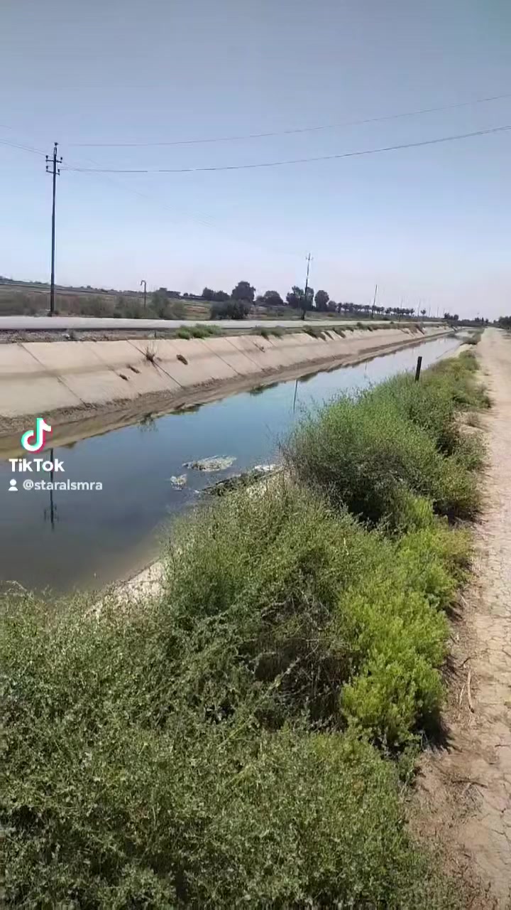 ٧ دوانم للبيع قريه العوادل الجسرالفرنسي عل مشروع الصب قانون١٧ سعر الدونم الواحد ٦٠ مليون  للاتصال مكتب الثقه ابو عبد الله العادلي ***********
