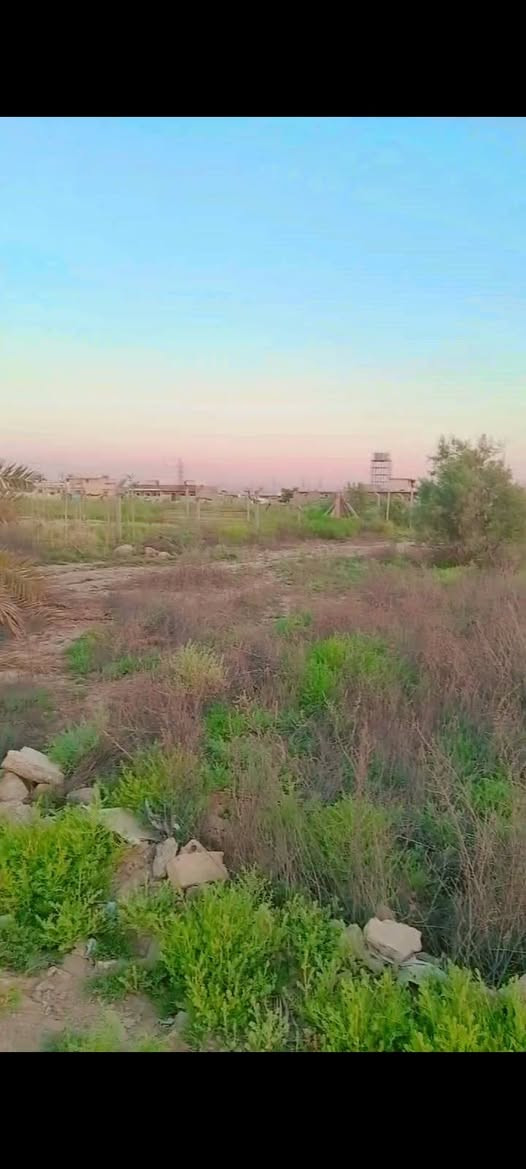 قطعة ارض للبيع
السلام عليكم قطعه ارض مساحه 600 متر  واجه 20 نزال 30 زراعي 135 في منطقه الاصلاح قرب شركه الماي و تبعد عن باب الجزيرة السياحية  10 دقايق   *********** استفسار واتساب
