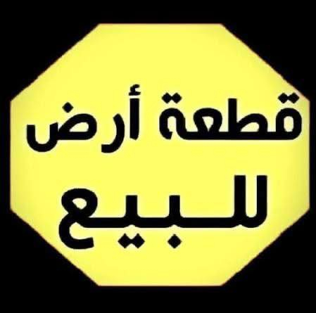100متر طابو زراعي سند 25 كربلاء حي العباس تحويل مباشر باسم المشتري خدمات كامله تبليط ماء كهرباء مجاري 
***********
