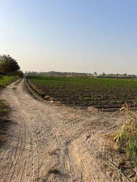 سلام عليكم ورحمة الله وبركاته
أرض زراعية ٥ دونم طابو زراعي ٢٥
مع دار سكن واقعة في منطقة اليوسفية الرضوانية المكيطيمات
قرب مخزن شيخ سليمان الذرب
على نهر اليوسفية

رقم الهاتف

***********
