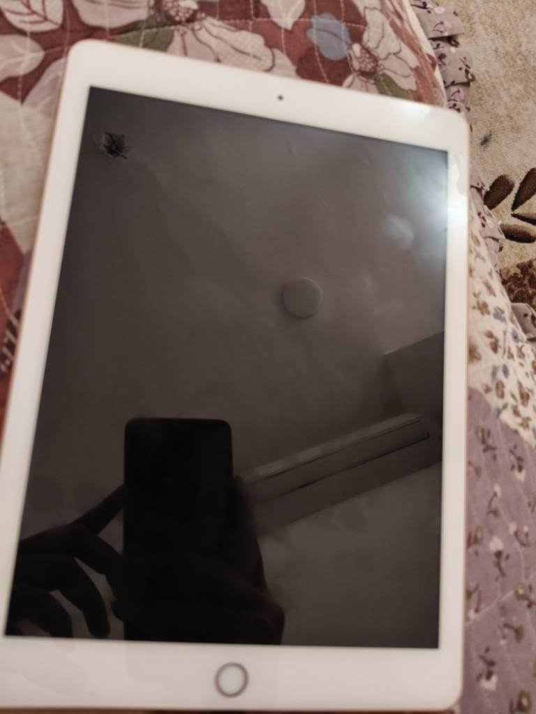 ايباد 6 / ذاكرته 64 / بطاريه 93/ ايباد جديد مادخل تصليح. ب130 الف النجف, العراق


**إذا كنت صاحب هذا الإعلان وتريد حذفه لأي سبب، رجاءا أرسل رسالة إلى الدعم الفني**