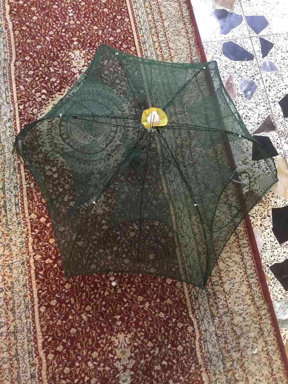 متوفر فخ صيد سمك وروبيان بسعر مناسب جدا


**إذا كنت صاحب هذا الإعلان وتريد حذفه لأي سبب، رجاءا أرسل رسالة إلى الدعم الفني**