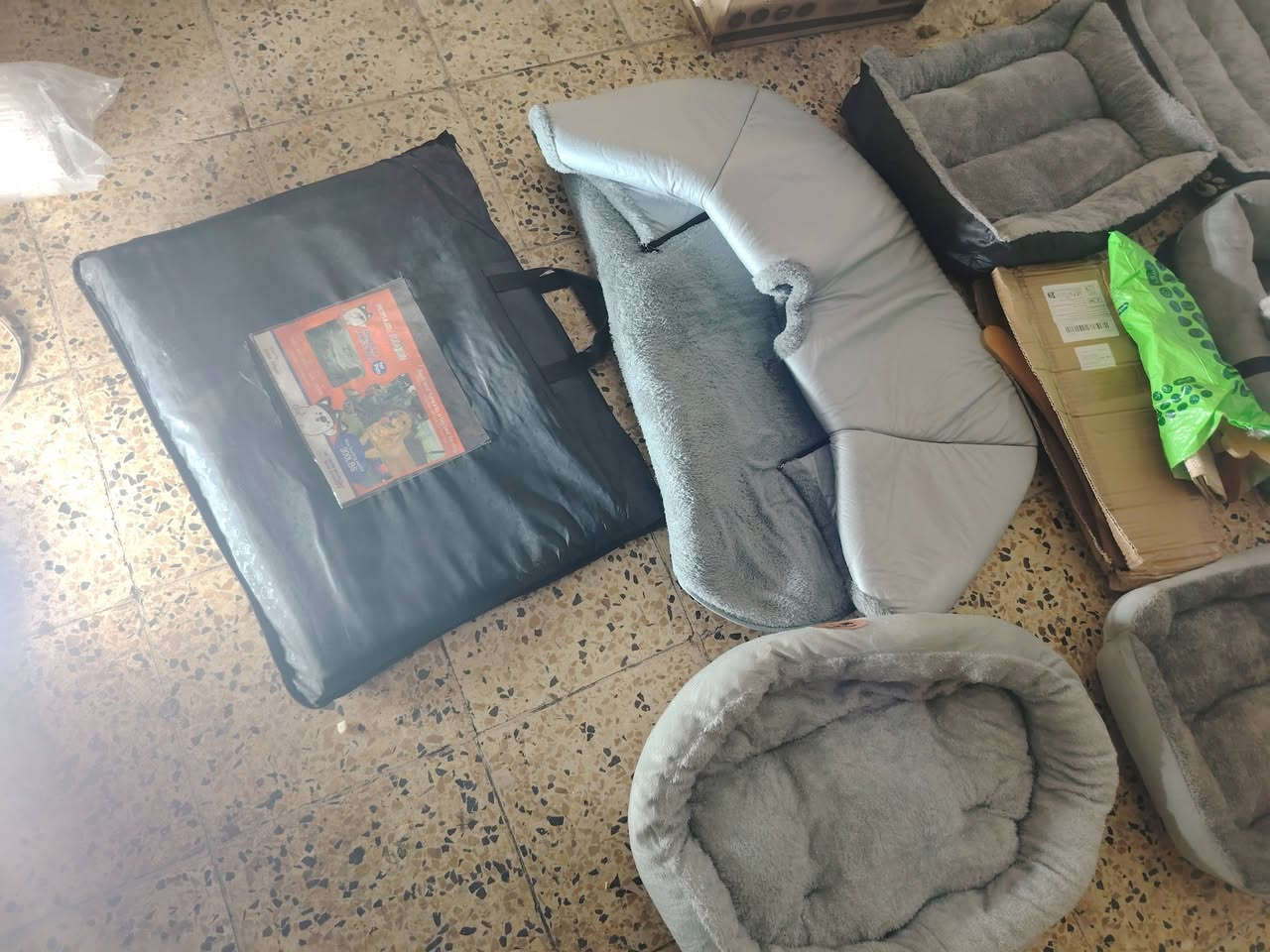 شلعه مال حيوانات وبعد اكو جنطه هم كلهن ب ٢٥


**إذا كنت صاحب هذا الإعلان وتريد حذفه لأي سبب، رجاءا أرسل رسالة إلى الدعم الفني**