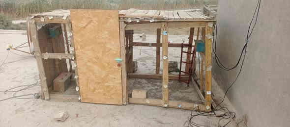 قفص خسب  كلش  حلو تصميمه. وبي اناره ومراجيح وبسوت لطيور الحب والكوكتيل
لي يشتري يىاسلني خاص او واتساب ***********
