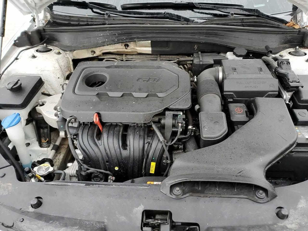 السلام عليكم كيا اوبتما أمريكي موديل 2020 مكينه 2400 جديده سياره كلين وناشر صور الحادث كلش بصيط ايربك كله سليم بيهه بل العراق جاملغ ايسر صبغ فقط سياره جديده معنه الكلمه من كل جانب عل وضع الشركه  صدر جديد تخم تاير جديد  ماشيه 67 رقم اربيل بسمي تريد تحويل وكاله موجود  مواصفات سياره جميع مواصفات عده بصمه والفتحه معروفه مواصفات fe ميحتاج اذكرهه السعر 155 بيهه مجال بسيط مكان سياره بغداد التاجي  
رقم الهاتف ***********
