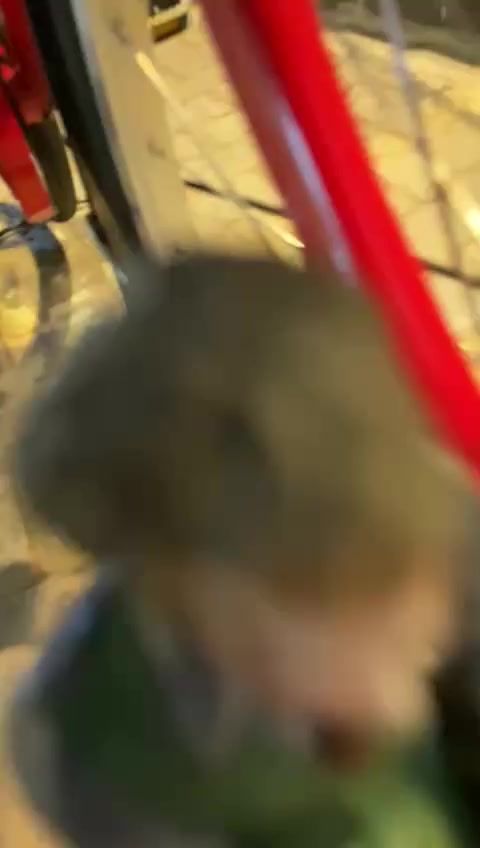 السلام عليكم بيسكل بناتي حجم 26 وموديل 21 كير وحساس 125وبي مجال مكاني بغداد الجديده رقم تلفون ***********
