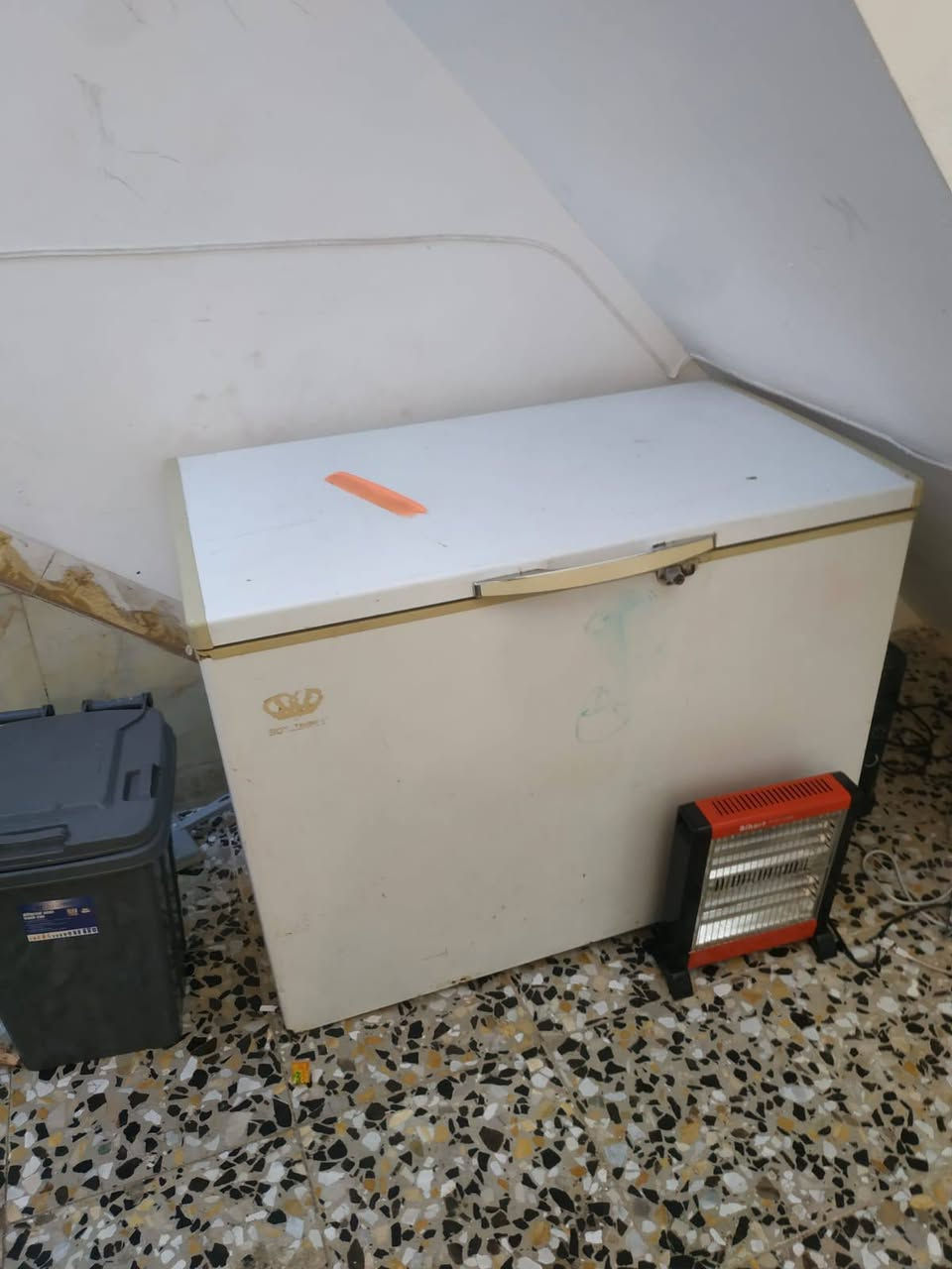 عريانه 20مبرده50تخم150طباخ150مجمده125.  وتساب***********
