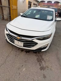 ماليبو • معوقين • ميسان