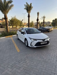 كورلا هايبرد • ٢٠٢٤ • بغداد حي الجهاد