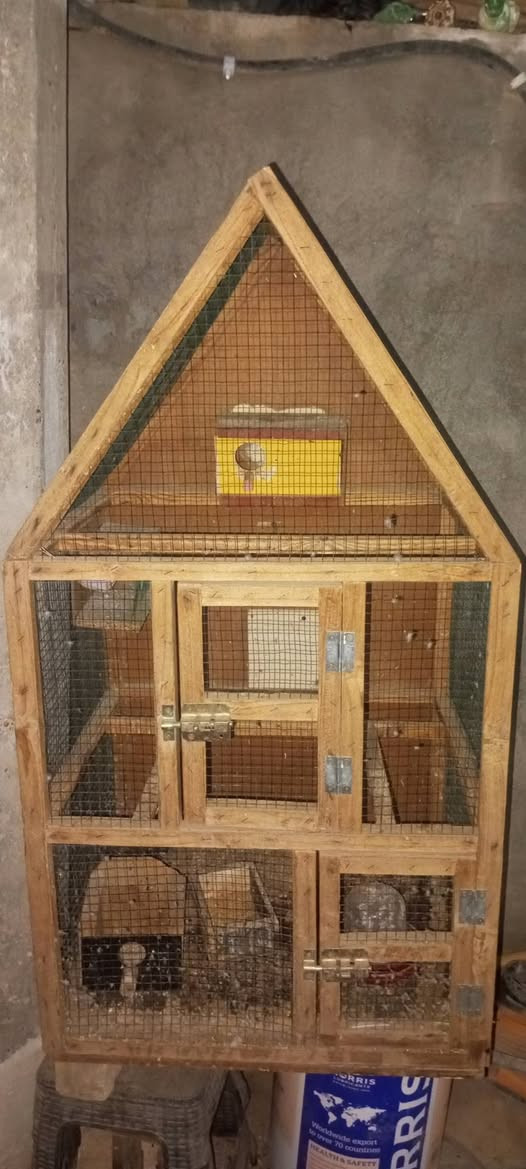 اقفاص طيور الحب للبيع ***********,***********
