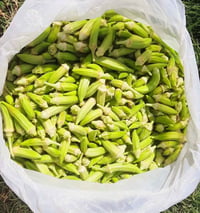 بناية • جديدة • ع الشارع
