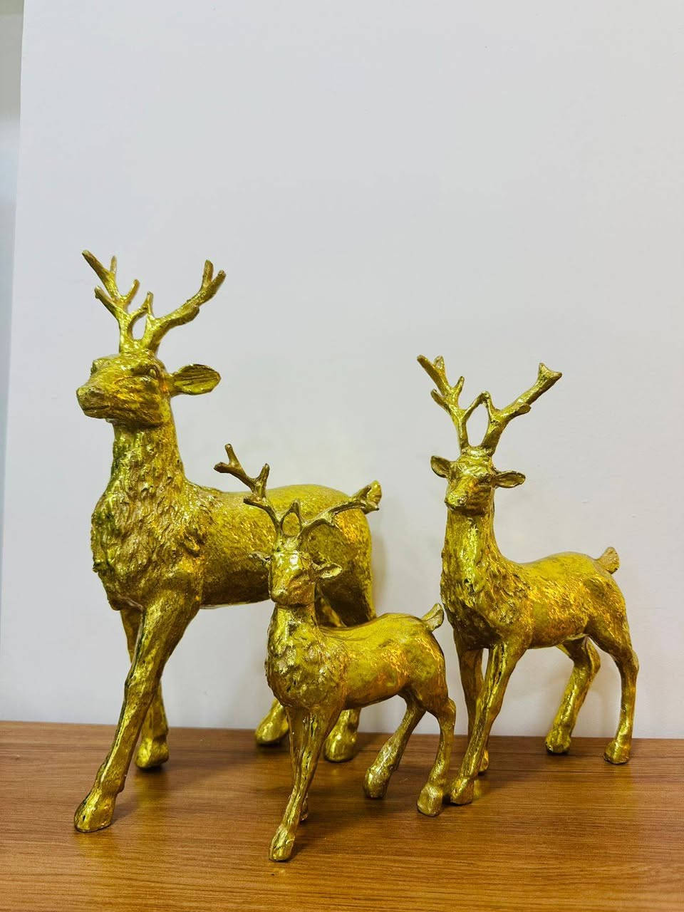 تحفيات ٥,٠٠٠ فقط


**إذا كنت صاحب هذا الإعلان وتريد حذفه لأي سبب، رجاءا أرسل رسالة إلى الدعم الفني**