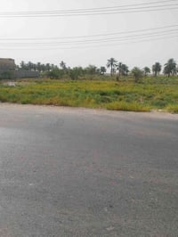 دونمين وربع • سند 25 • الطبر