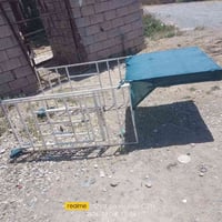 ستوسه • فصال • اطفال