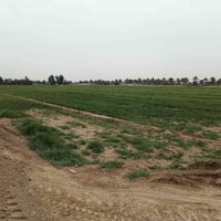 للبيع  4دونم طابو زراعي سند 25 بأسمي تحويل مباشر  بغداد ابو غريب 10منا...