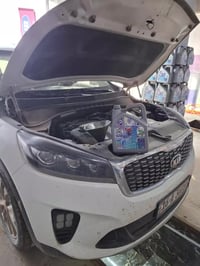 زيوت ايتالوب • وكالة • ايطالية