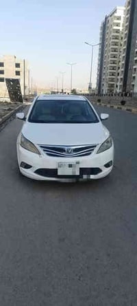 شانجان • ٢٠١٥ • بدون صبغ