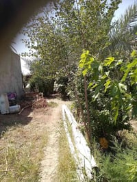 يوجد ربع دونم البيع الدورة عرب جبور قرب الحمدين رقم الهاتف 07819284154