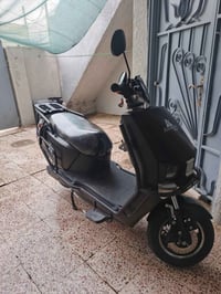 للبيع تراوس السعر 800 واتساب 07702329823