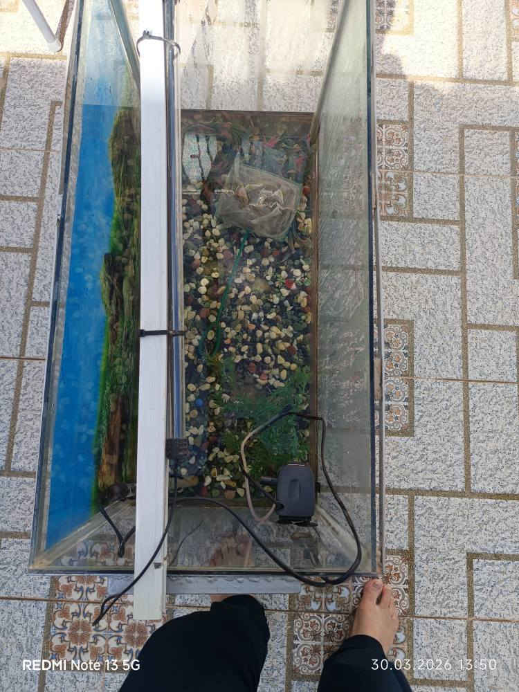 حوض سمك كبير مع اطار من حديد طول 80 سنتيمتر و ارتفاع 60 سنتيمتر مع ملحقاها ضوء وهيتر واحجار شتلات سعر 50 الف كركوك كركوك, العراق


**إذا كنت صاحب هذا الإعلان وتريد حذفه لأي سبب، رجاءا أرسل رسالة إلى الدعم الفني**