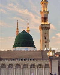 عمرة شوال • أول ٥٠ • نقل وفنادق