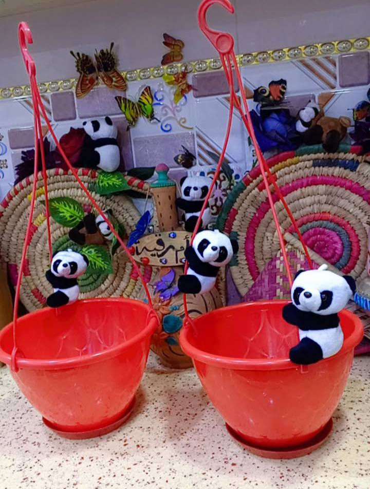 يتوفر سنادين درجة اولى نوعيه ممتازه 🪴 
يتوفر لدينا جميع اكسسوارات نباتات 🕊️🐼🦊 توصيل كل محافظات العراق 🚕 
الزرع لعرض فقط 🪴 
يتوفر جمله ومفرد 🦊🐼 
سارع لحجز كميه محدوده 🎊 
حجز على خاص ☎️
☎️***********📞
