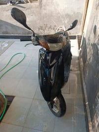 ياماها • عصفوري • جديد
